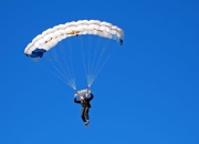 PG电子娱乐官网-张本智和独揽三分统治全场，奥地利队3-1轻取韩国晋级四强