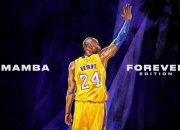 PG中国官网-颠覆传统，戴维斯杯力克ATP总决赛，梅德韦杰夫惊艳四座的背后