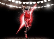 PG游戏下载-文班亚马，当灰熊的钢铁森林，遇见黄蜂的致命毒刺