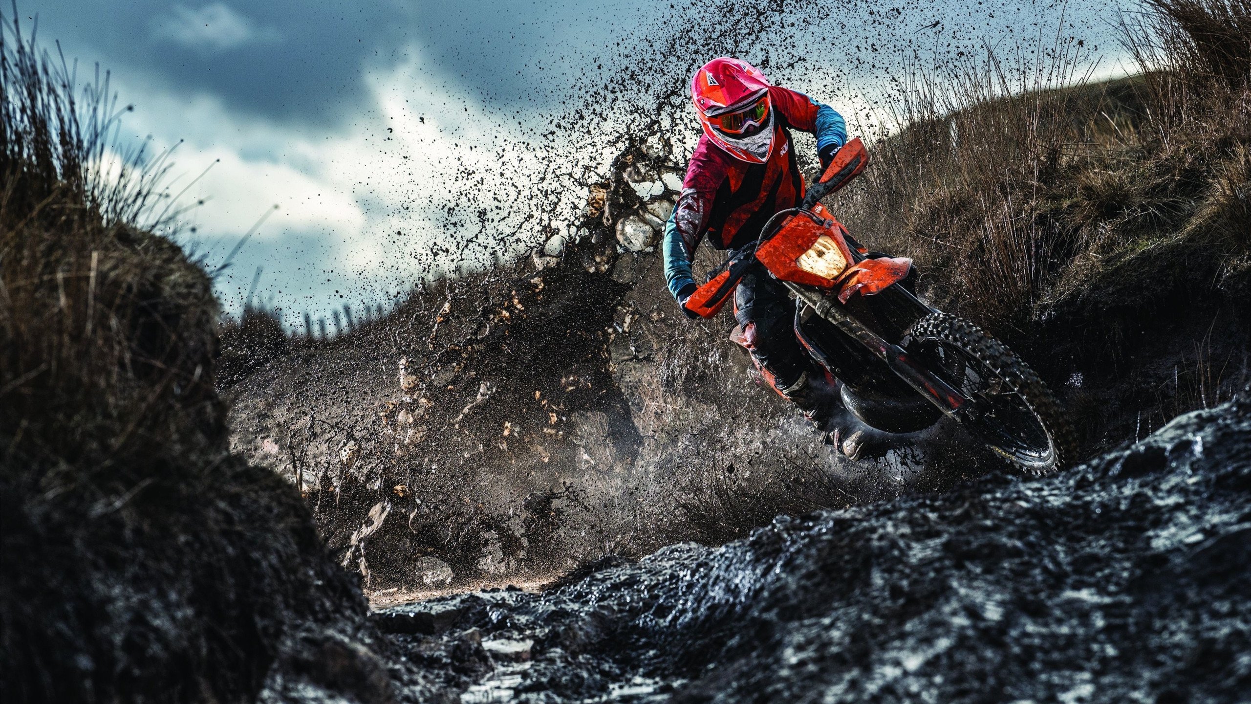 从多伦多到夏洛特，西亚卡姆的救赎之夜与黄蜂单节风暴击溃尼克斯